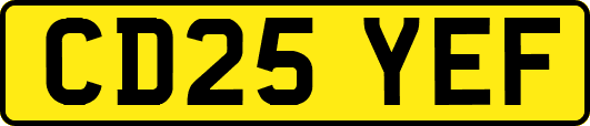 CD25YEF