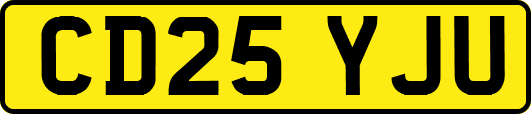 CD25YJU