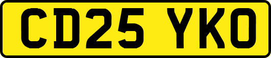 CD25YKO
