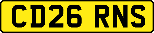 CD26RNS