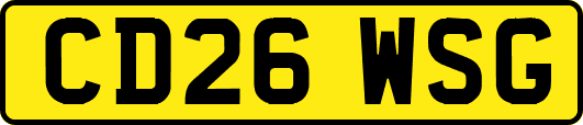 CD26WSG