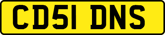 CD51DNS