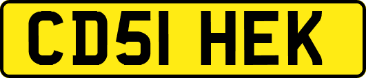 CD51HEK