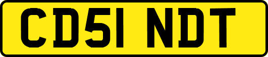 CD51NDT