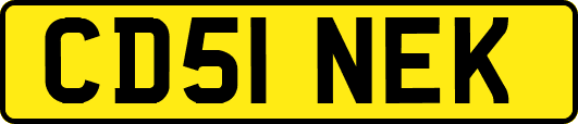 CD51NEK