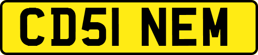 CD51NEM