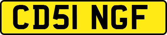 CD51NGF