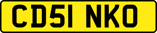 CD51NKO