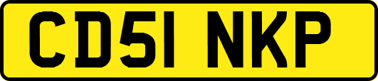 CD51NKP