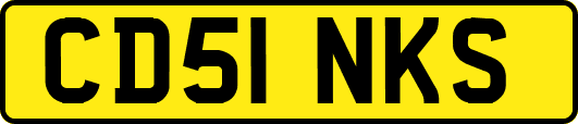 CD51NKS