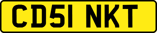 CD51NKT