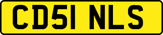 CD51NLS