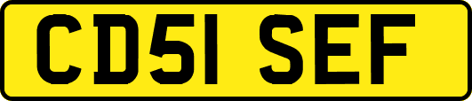 CD51SEF