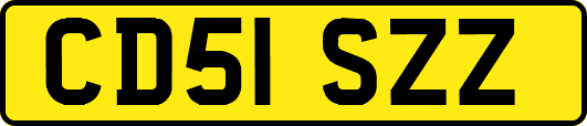 CD51SZZ