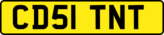 CD51TNT