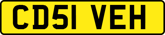 CD51VEH