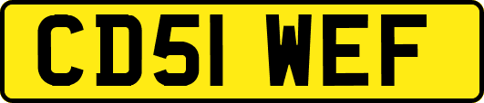 CD51WEF