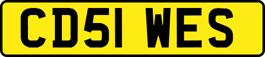 CD51WES