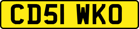CD51WKO