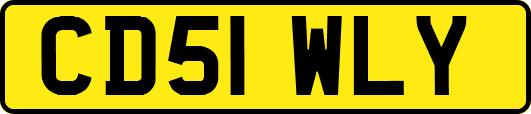 CD51WLY