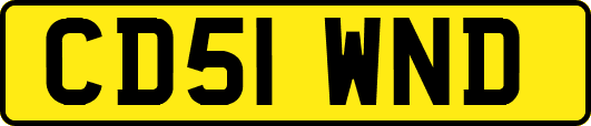 CD51WND