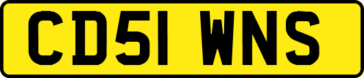 CD51WNS