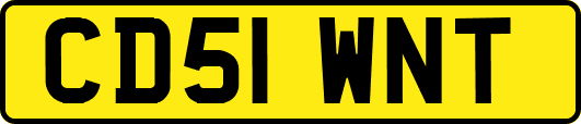 CD51WNT