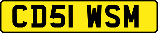 CD51WSM