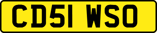 CD51WSO