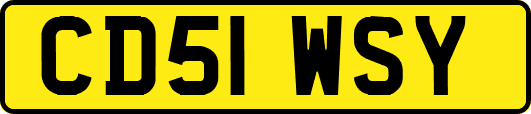 CD51WSY