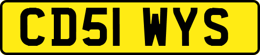 CD51WYS