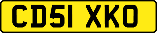 CD51XKO