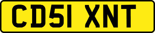 CD51XNT