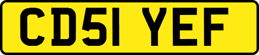 CD51YEF
