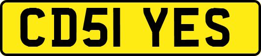 CD51YES