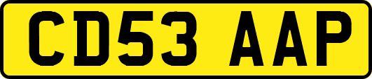 CD53AAP