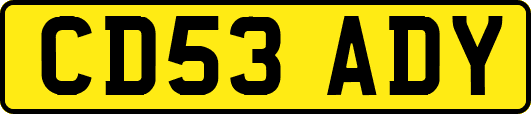 CD53ADY