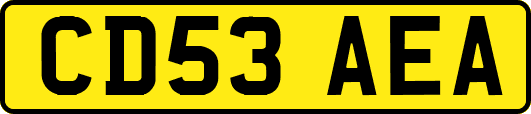 CD53AEA
