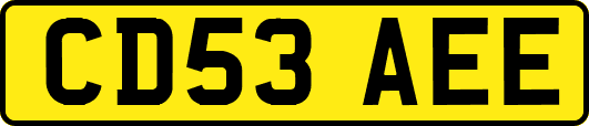 CD53AEE