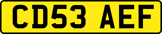 CD53AEF
