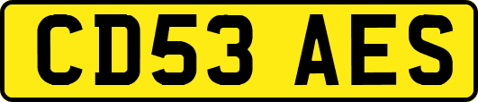CD53AES