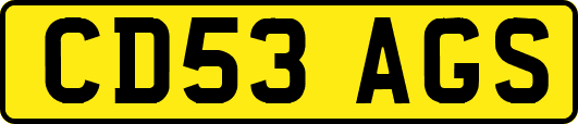CD53AGS