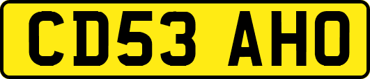 CD53AHO