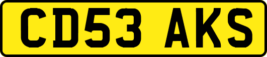 CD53AKS