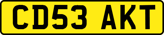 CD53AKT