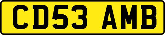 CD53AMB
