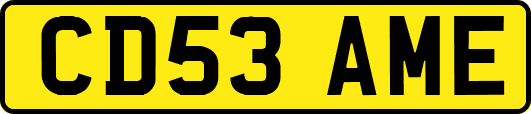 CD53AME