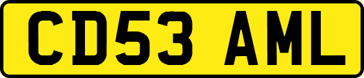 CD53AML