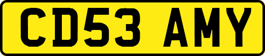 CD53AMY