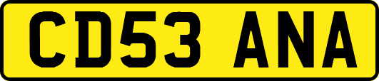 CD53ANA